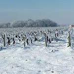 Дом отдыха Maison De Charme A - Jardin Et Terrasse Accueillante