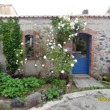 Maison De Charme A - Jardin Et Terrasse Accueillante Ferienhaus *