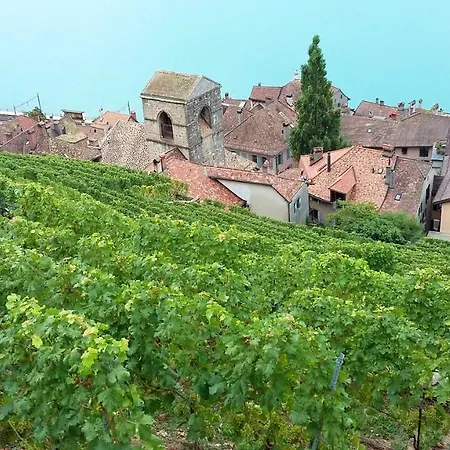 Maison De 3 Avec Jardin Clos Et Wifi A *