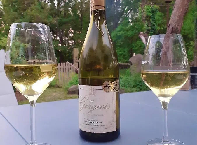 Maison De Charme A - Jardin Et Terrasse Accueillante Ferienhaus *