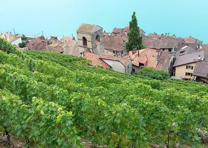Maison De Charme A - Jardin Et Terrasse Accueillante *